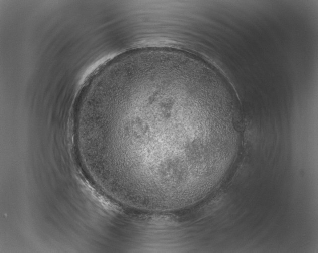 X0000078010979200611031426