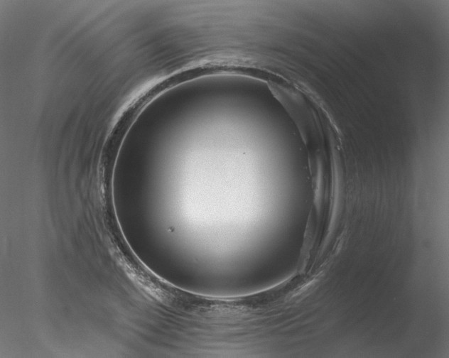 X0000078010981200611031426