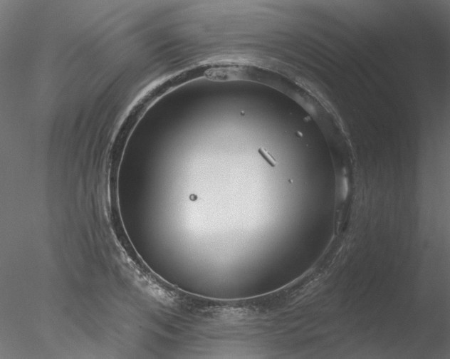 X0000078010984200611031426