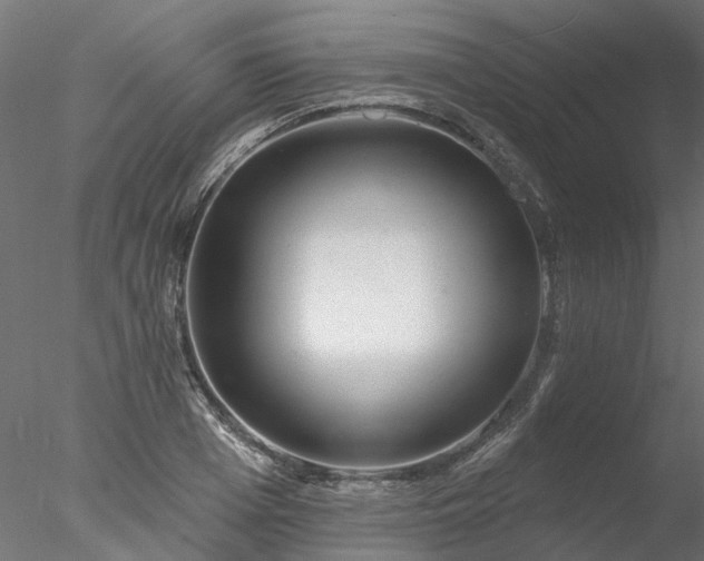 X0000078010985200611031426