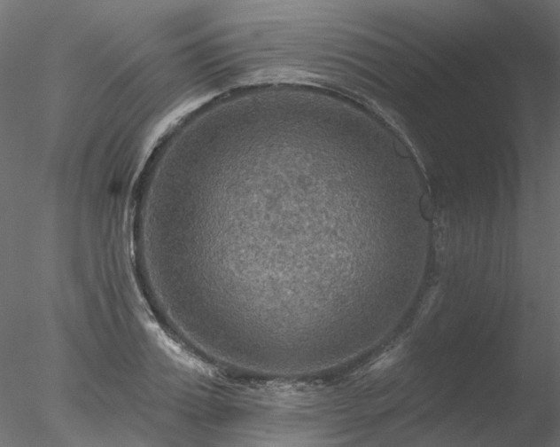 X0000078010987200611031426