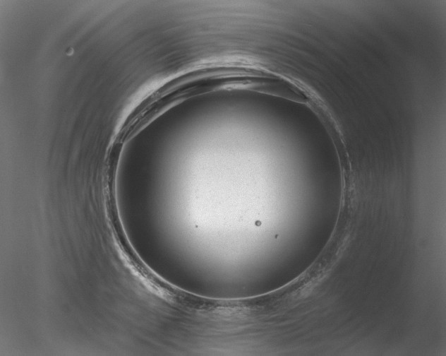 X0000078010989200611031425