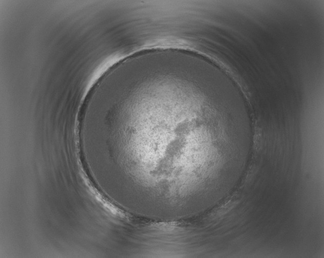 X0000078010990200611031425