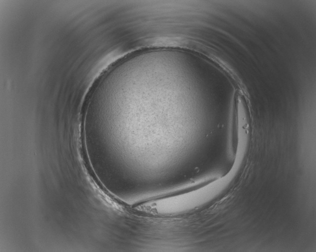 X0000078010992200611031425