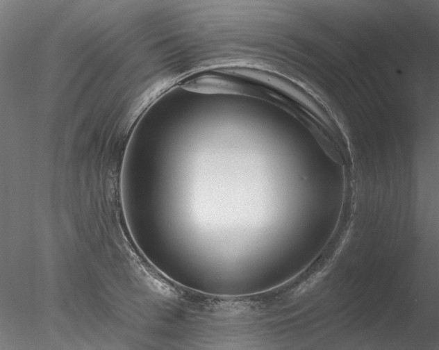 X0000078010993200611031425