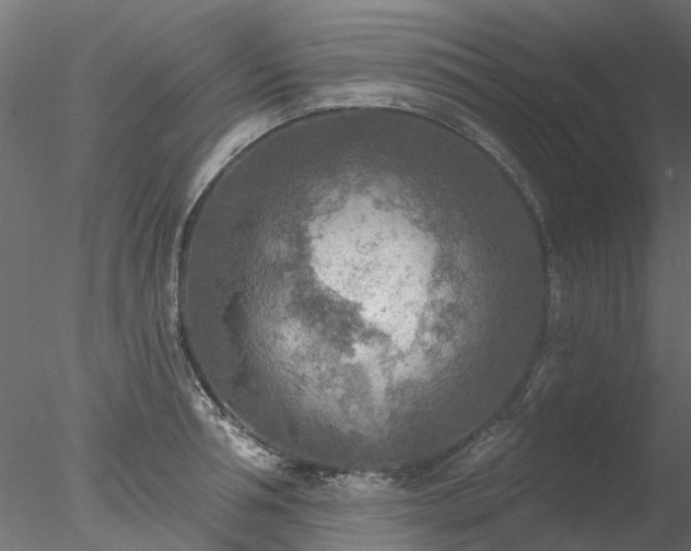 X0000078010994200611031425