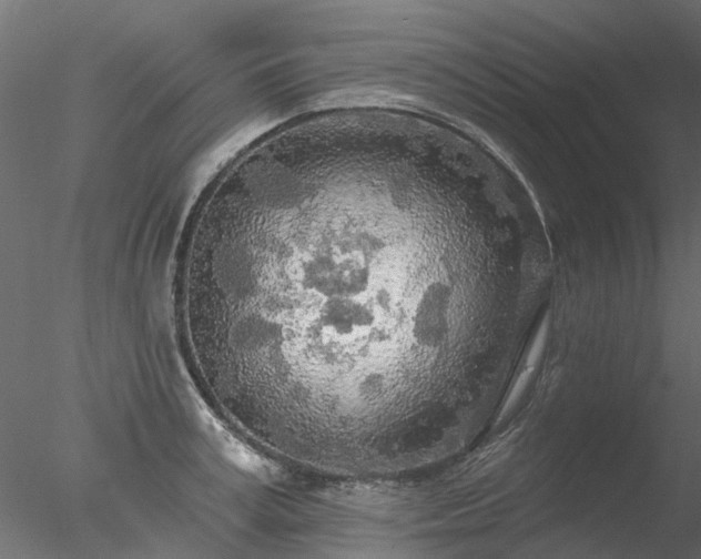 X0000078010995200611031425