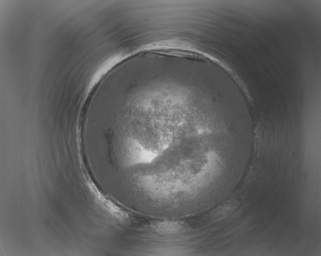 X0000078010998200611031425