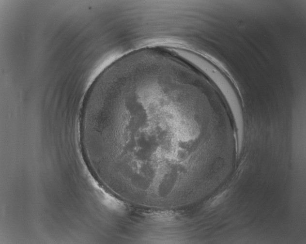 X0000078010999200611031425