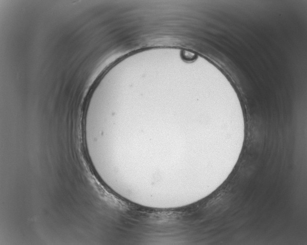 X0000078011000200611031425