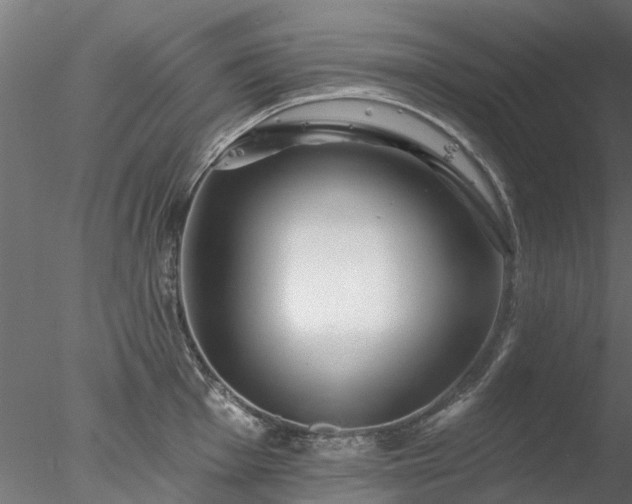 X0000078011001200611031425