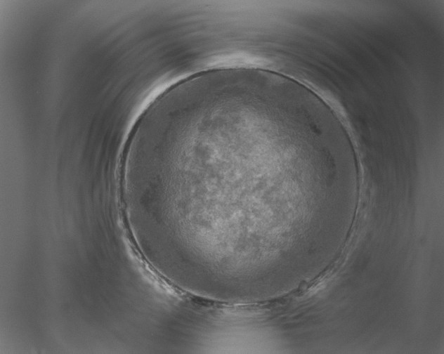 X0000078011008200611031425