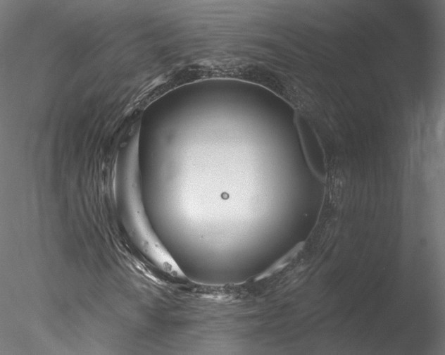 X0000078011010200611031424