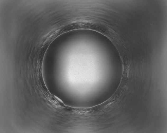 X0000078011014200611031424