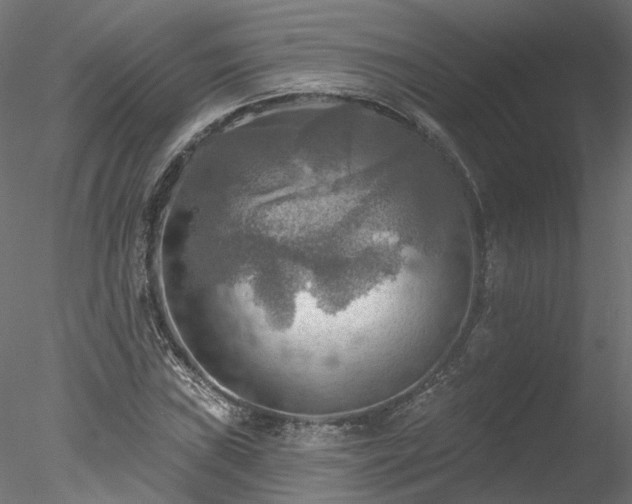 X0000078011019200611031425