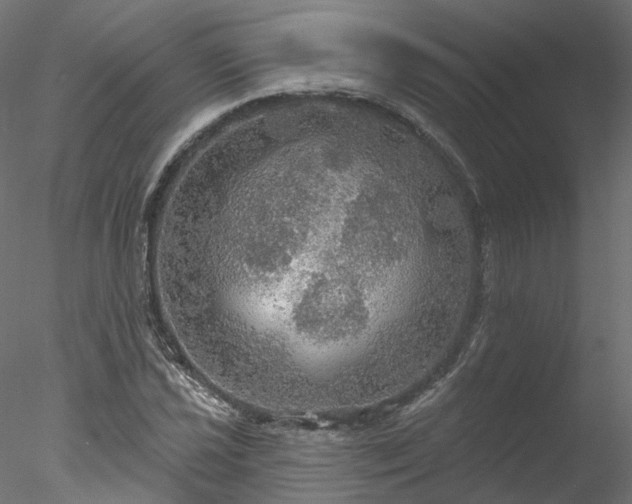 X0000078011021200611031425