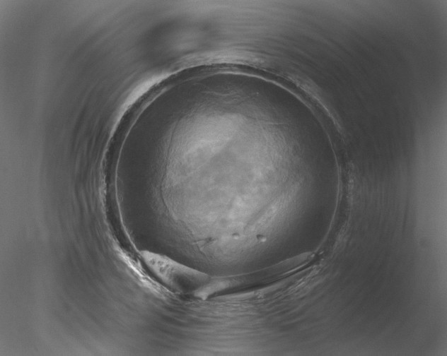 X0000078011024200611031425