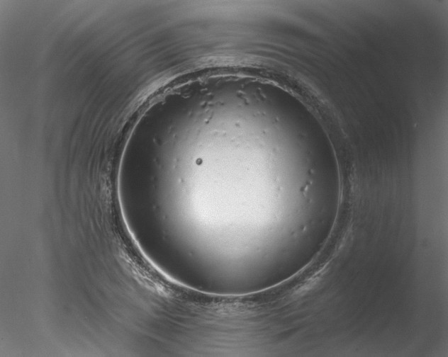 X0000078011025200611031425