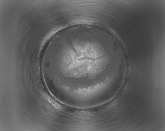 X0000078011027200611031425