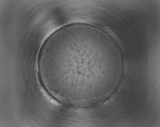 X0000078011028200611031425