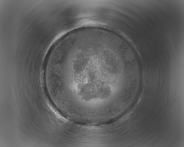 X0000078011029200611031425