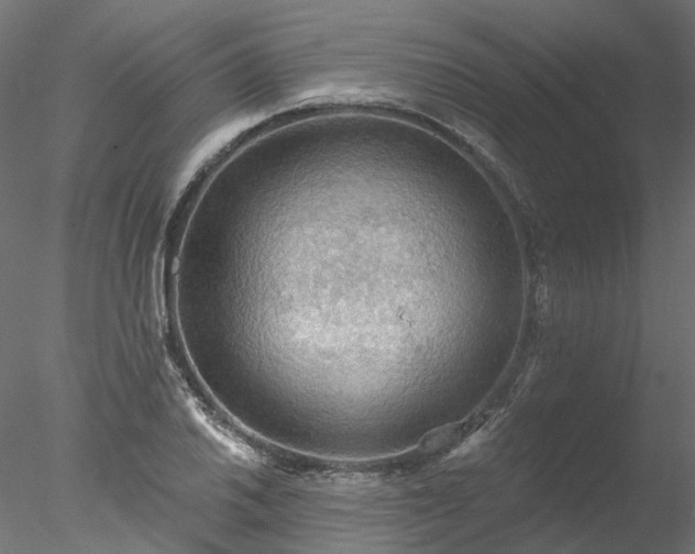 X0000078011030200611031425