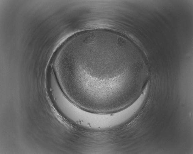 X0000078011031200611031425