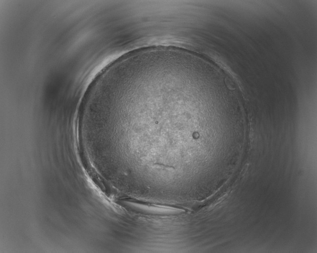 X0000078011032200611031425