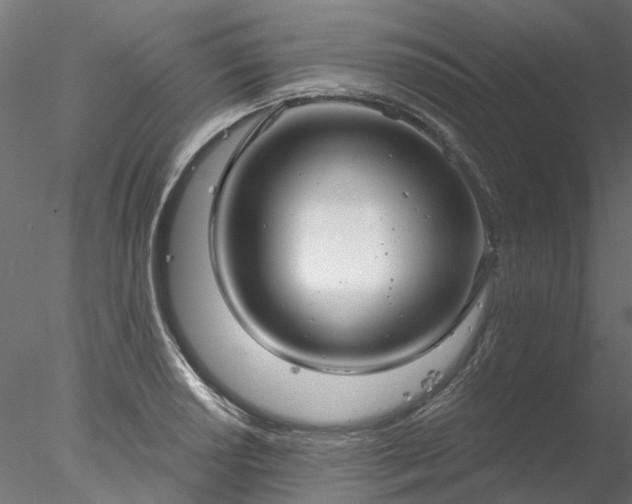 X0000078011034200611031425