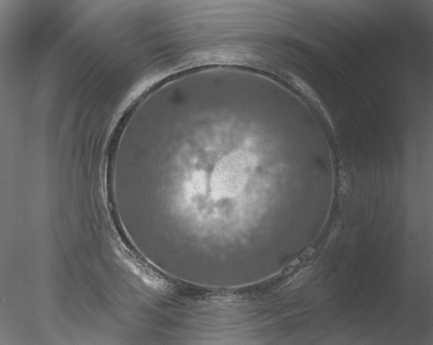 X0000078011035200611031425