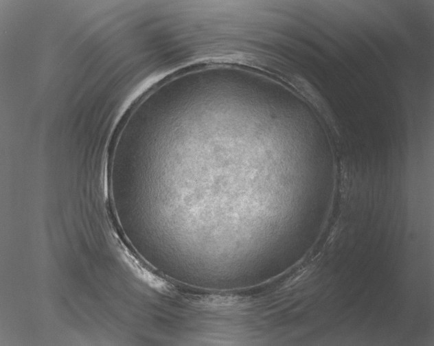 X0000078011036200611031425