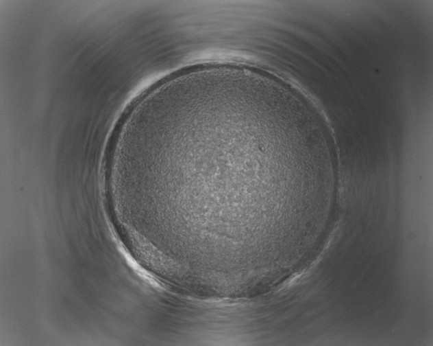 X0000078011037200611031425