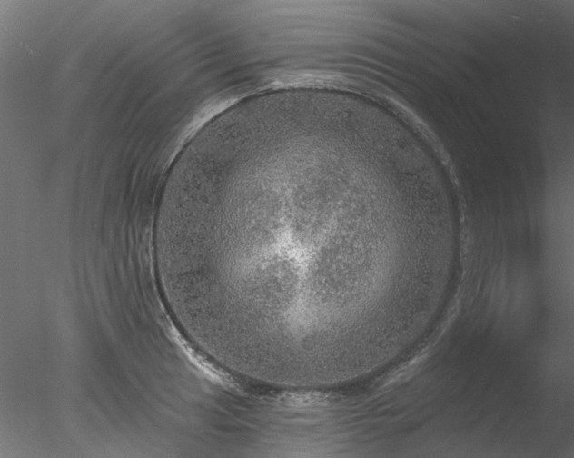 X0000078011041200611031425