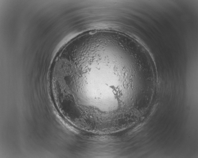 X0000078011045200611031425