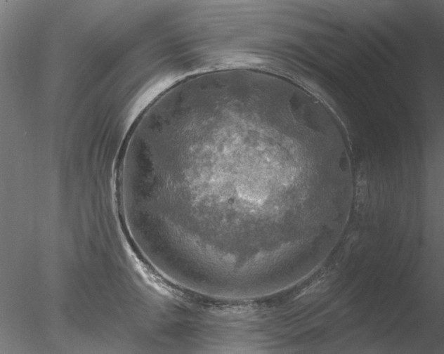 X0000078011047200611031425