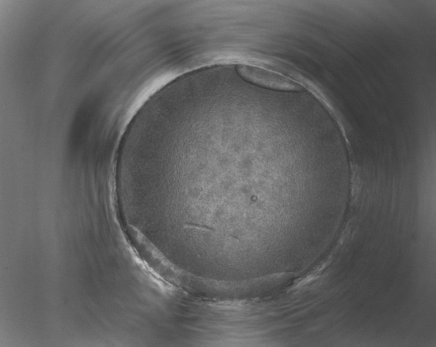 X0000078011048200611031425