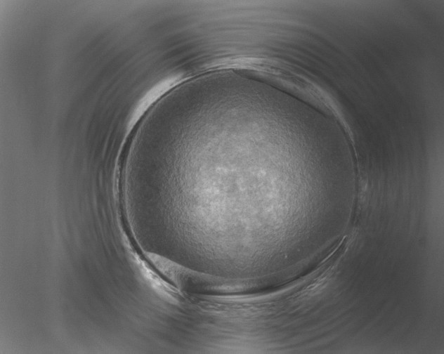 X0000078011050200611031425