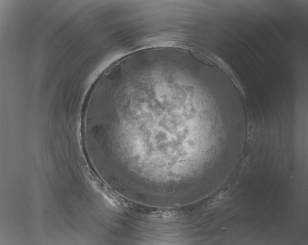 X0000078011051200611031425