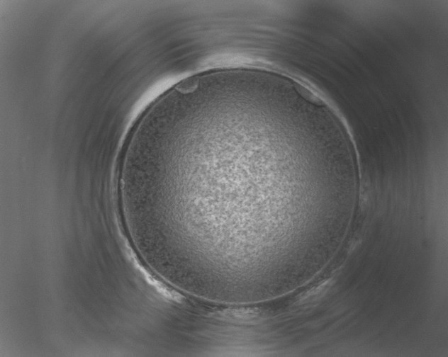 X0000078011053200611031425