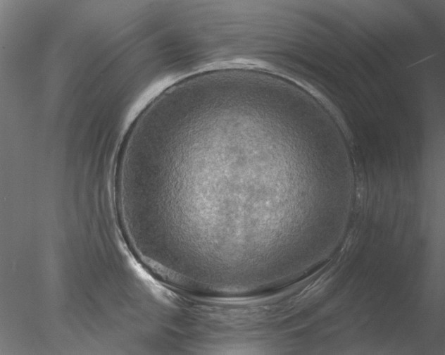 X0000078011054200611031425