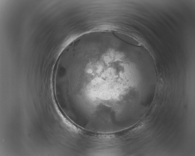 X0000078011055200611031425