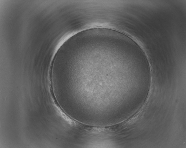 X0000078011056200611031425