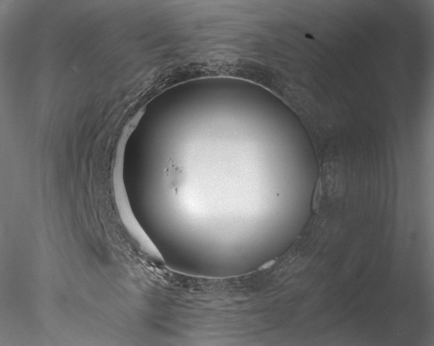 X0000078011057200611031424