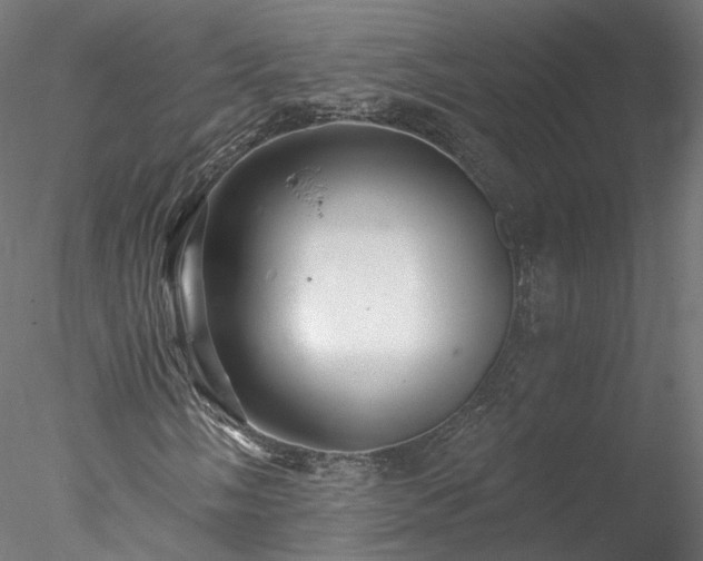 X0000078011058200611031424