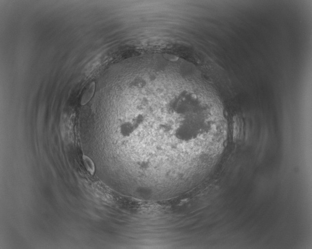 X0000078011059200611031424