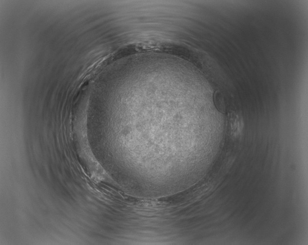 X0000078011060200611031424