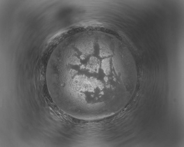 X0000078011063200611031424