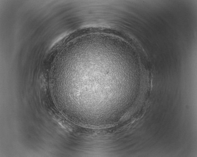 X0000078011064200611031424