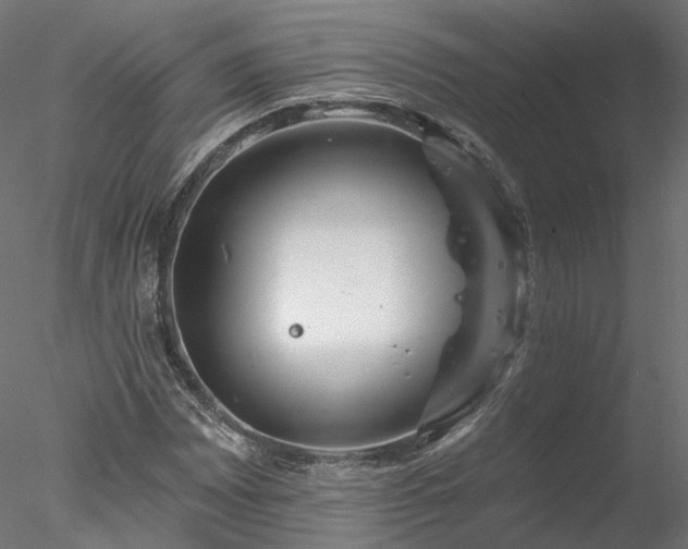 X0000078011065200611031424