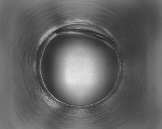 X0000078011066200611031424